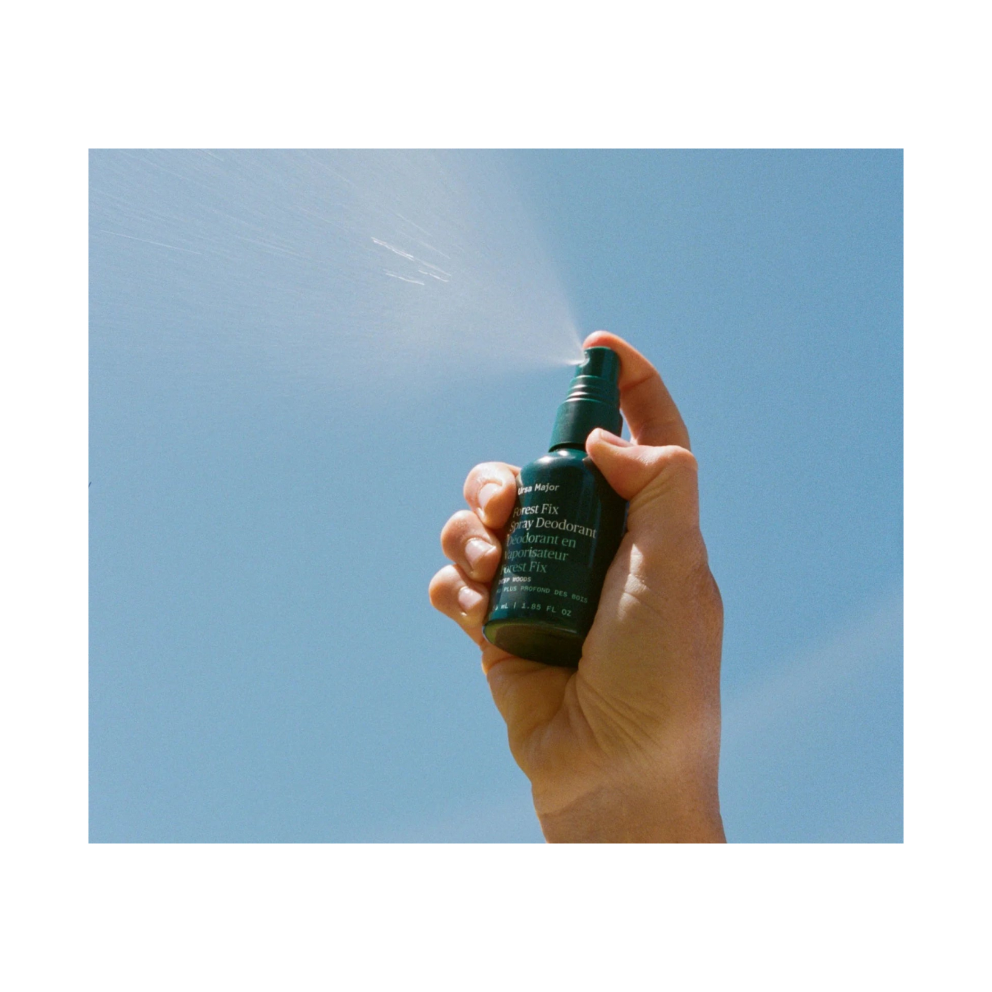 Forest Fix Spray Deodorant